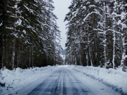 Winter road in the forest.