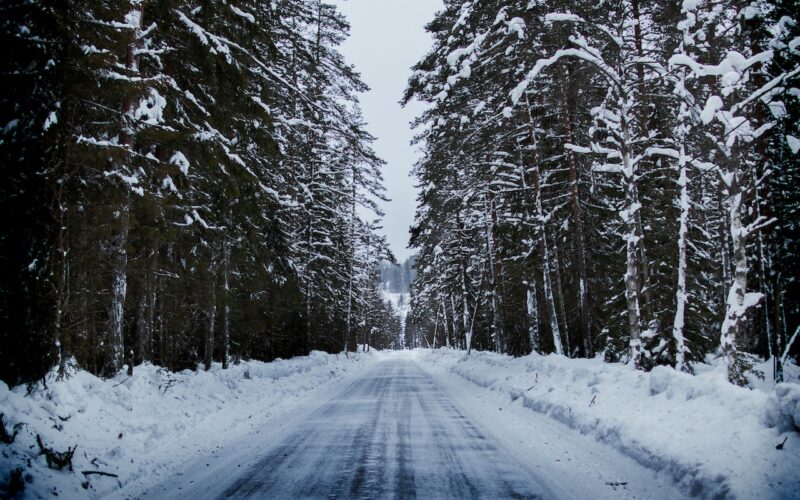 Winter road in the forest.